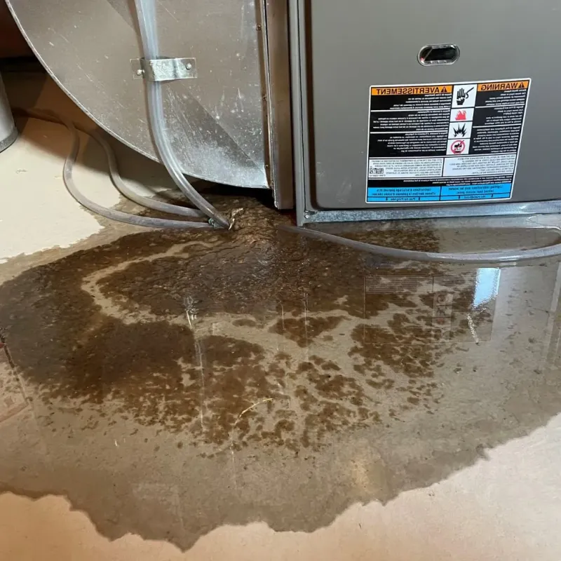 Pipe Burst and Leak Restoration in Porter, IN