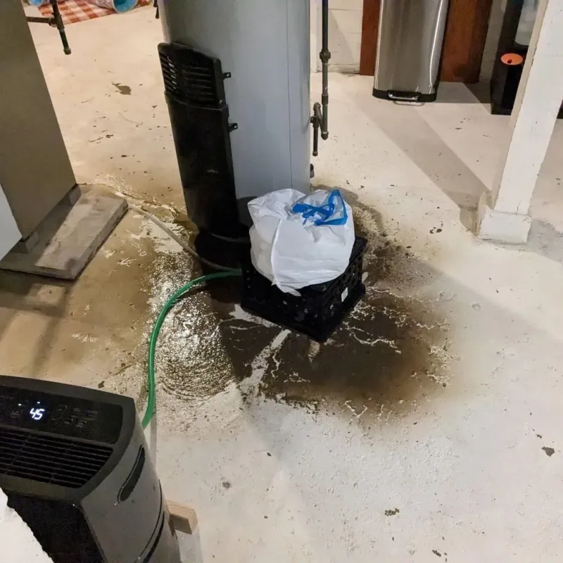 Sewage Backup Cleanup Service in Porter, IN